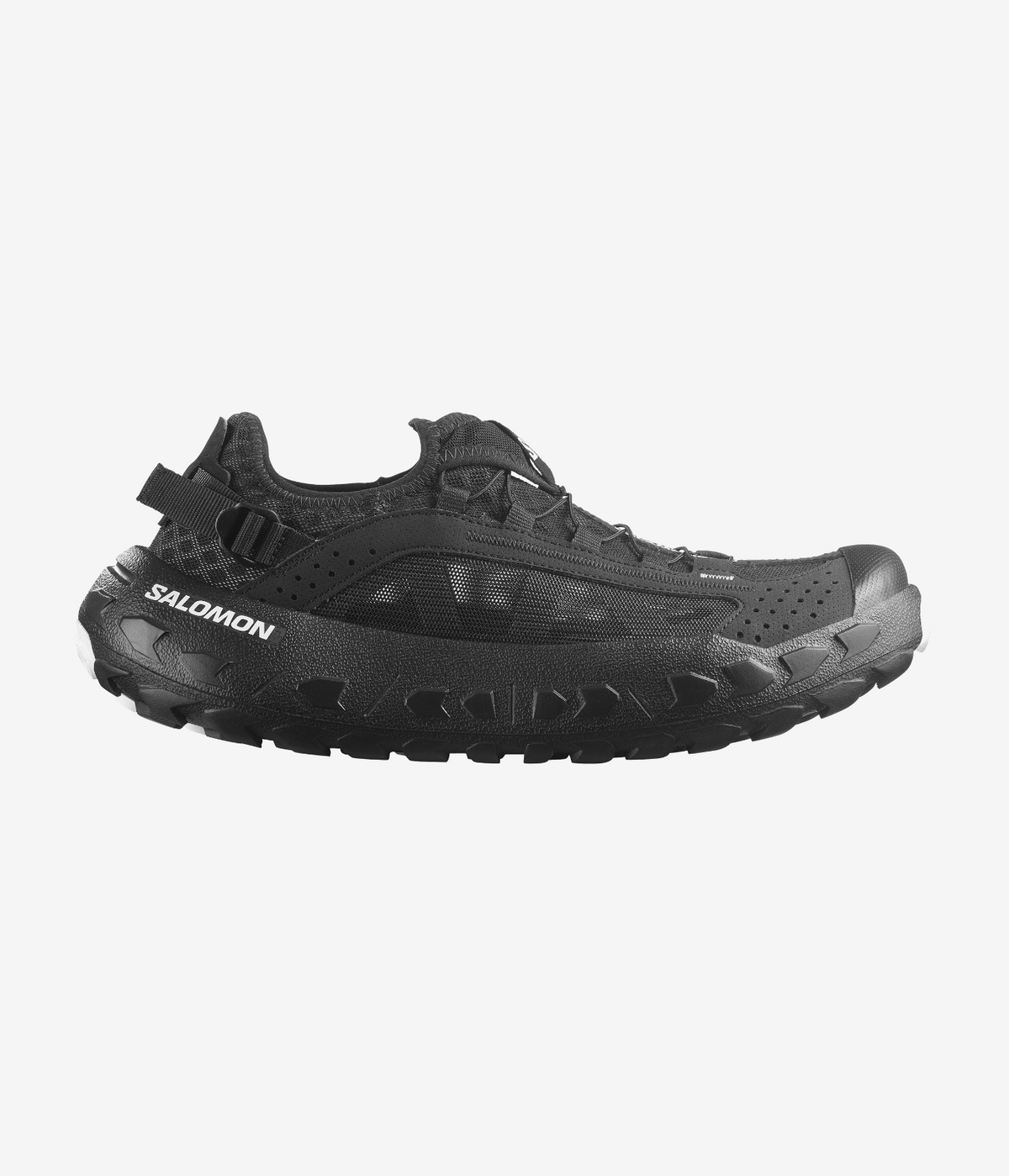 SOLAMPHIBIAN