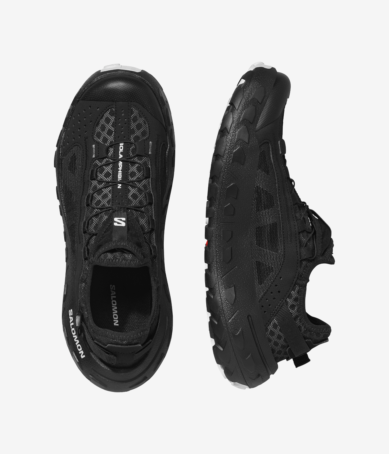 SOLAMPHIBIAN