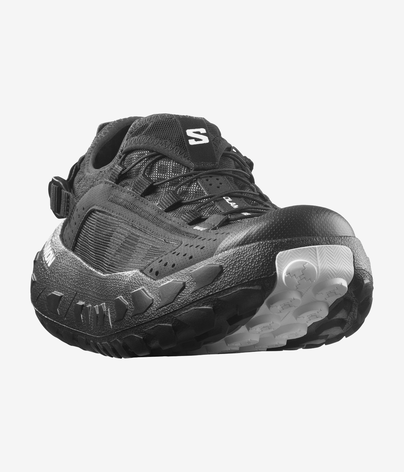 SOLAMPHIBIAN