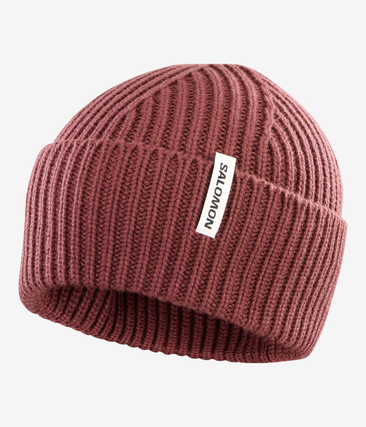 Snowbird Beanie - SalomonGCC