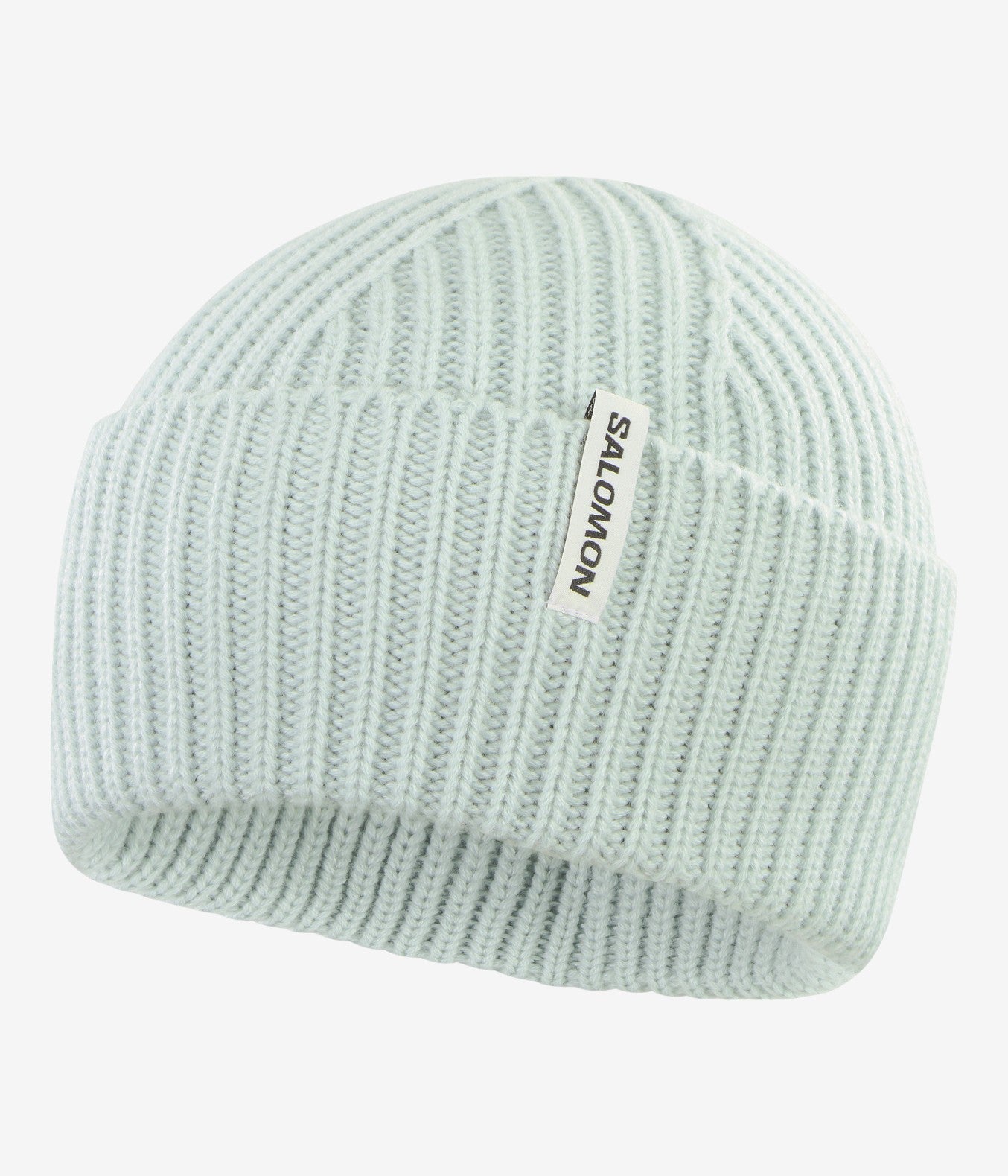 Snowbird Beanie - SalomonGCC