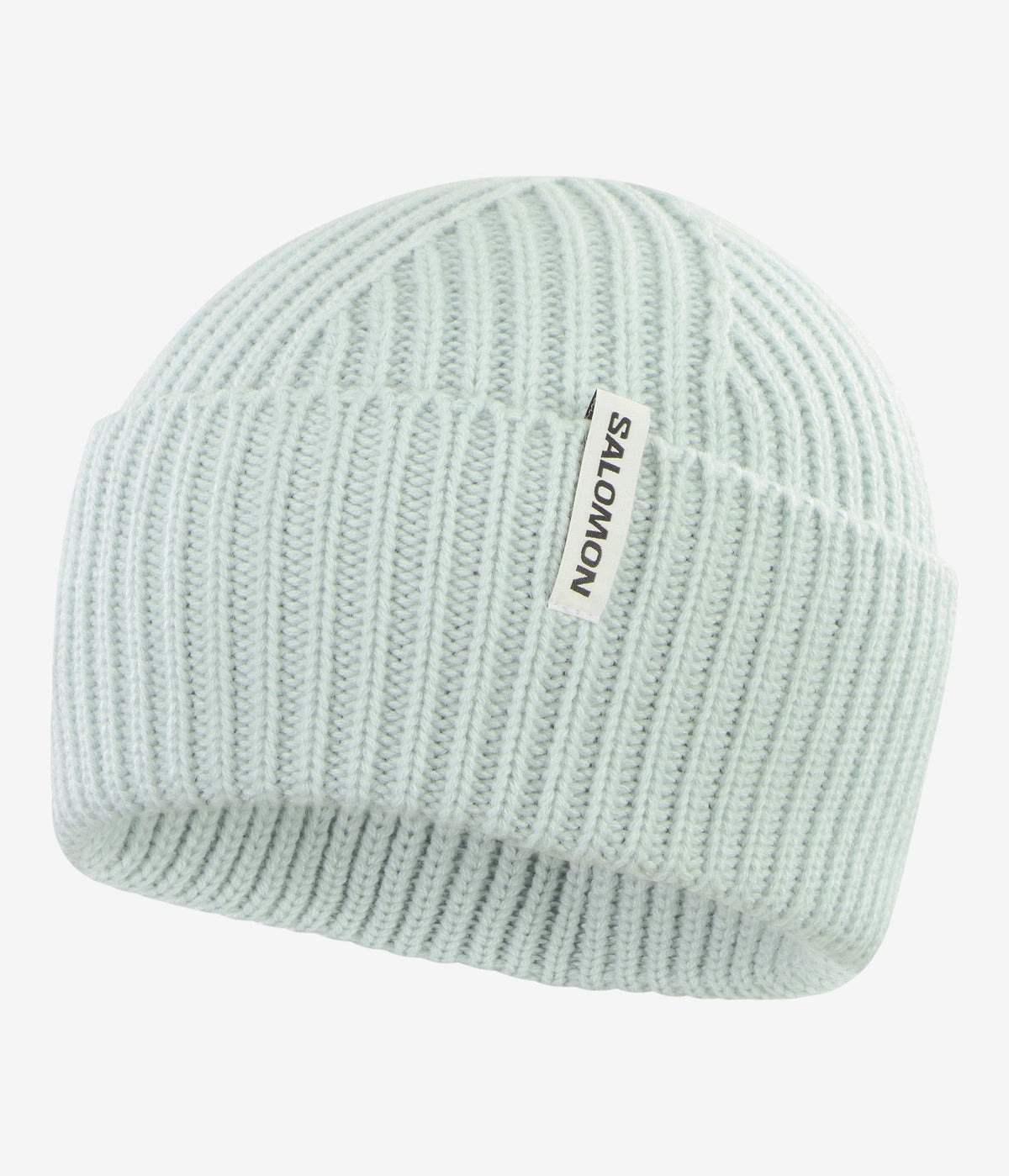 Snowbird Beanie - SalomonGCC