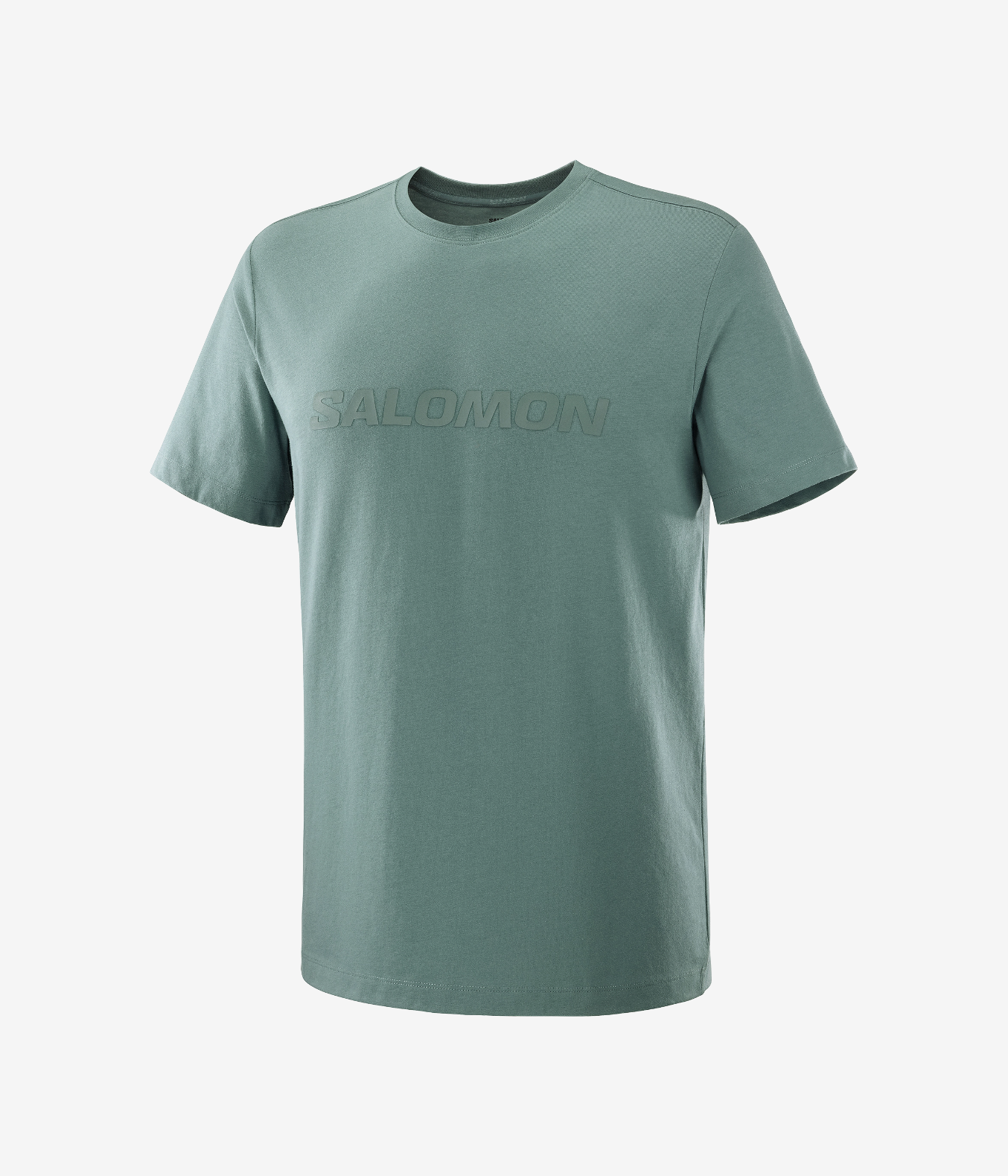 SALOMON LOGO - SalomonGCC