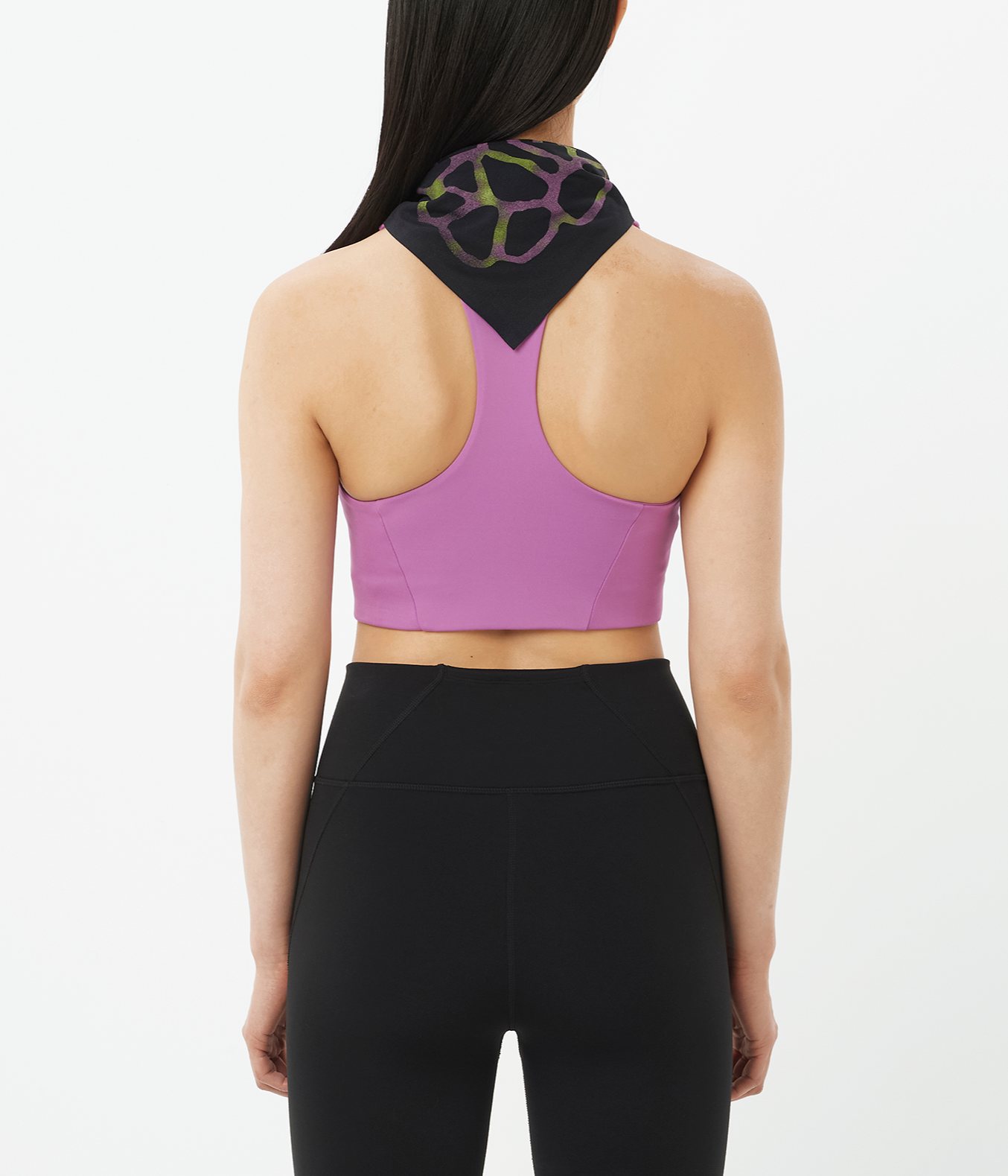 SHAKEout CORE